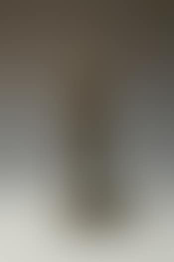 Man leaning against a spade (preview)