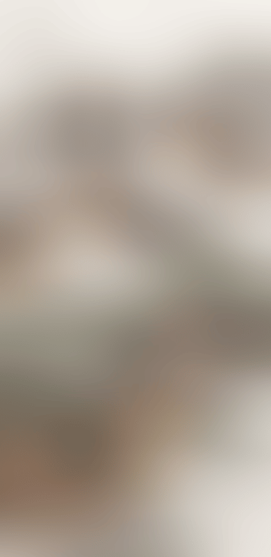 Landscape (preview)