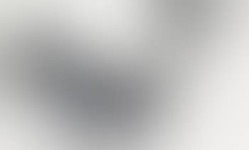 Abstract (preview)