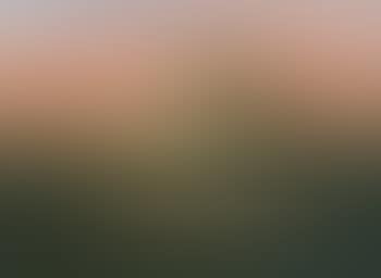 Sunset Pasture Scene with Deer, Birds and Pond (preview)