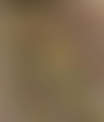 Figur und Gef�sz (preview)