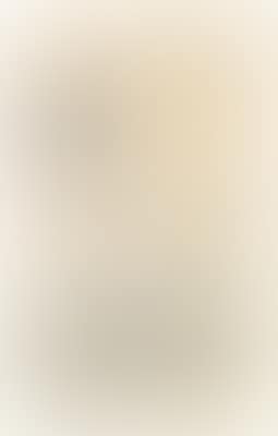 Grigio Verticale (preview)