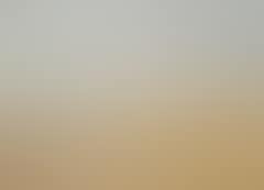Skagen Beach (preview)