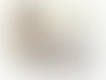 Reposing female nude (recto); and Standing female nude (verso) (preview)
