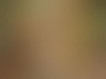 Women Around the Lotus Pond (preview)