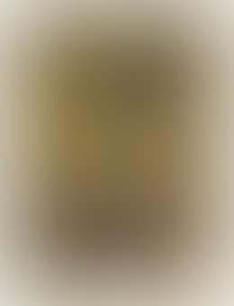 One plate, from Les Portraits Imaginaires (preview)