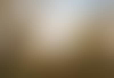 Landscape with a Shepherd (preview)