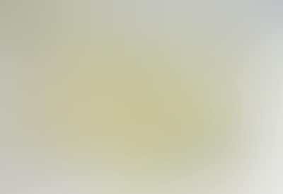 www.nitschmuseum.a (preview)