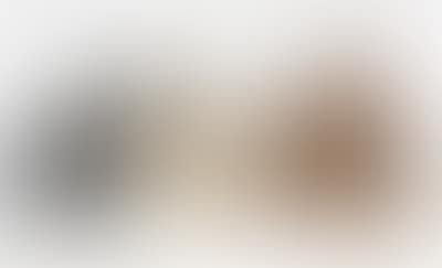 Marke Steiff (preview)