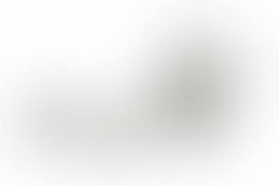 Silber 800 (preview)