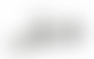 Silber 800 (preview)