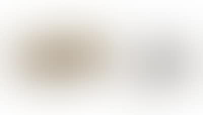 Silber 835 (preview)