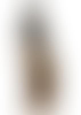 Ca. 1880/90 (preview)