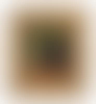 (Vienna 1836-1918 Graz) The Red Ball (preview)