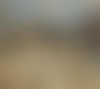 (Lodz 1878-1960 Munich) Verona (preview)