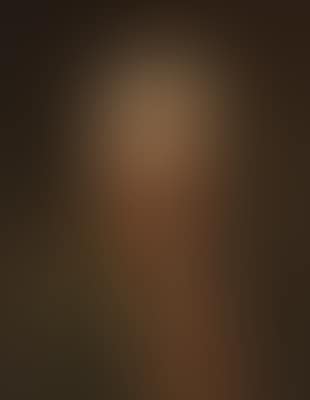 Portrait of Emperor Joseph II (preview)