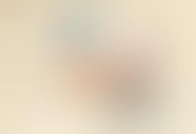 (born in Vienna in 1940) Untitled (preview)