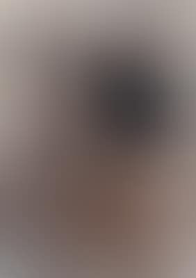 (born in Steyr/Upper Austria in 1958) Untitled (preview)