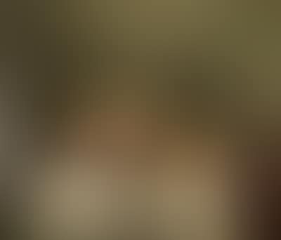 A banquet still life with ham (preview)