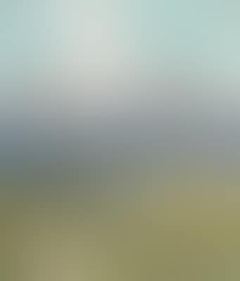 (Vienna 1866–1943 Fürth) A summerday on a mountain pasture (preview)