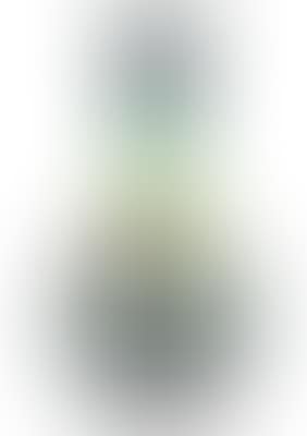 Gallé (preview)