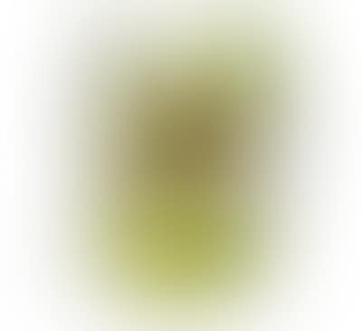 Gallé (preview)