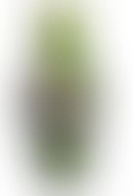 Burgun (preview)