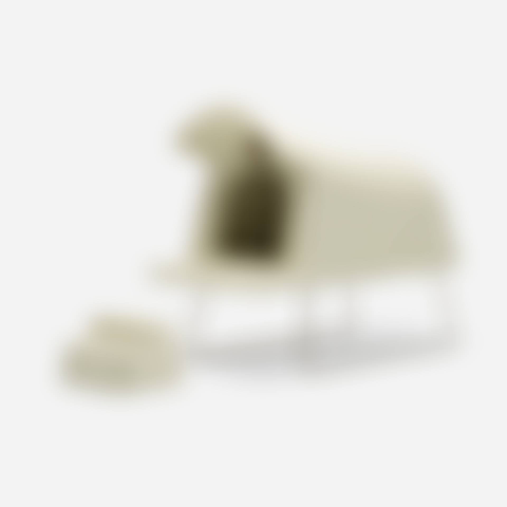 Magis dog house (preview)