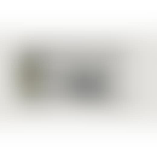 Glass Garden (preview)