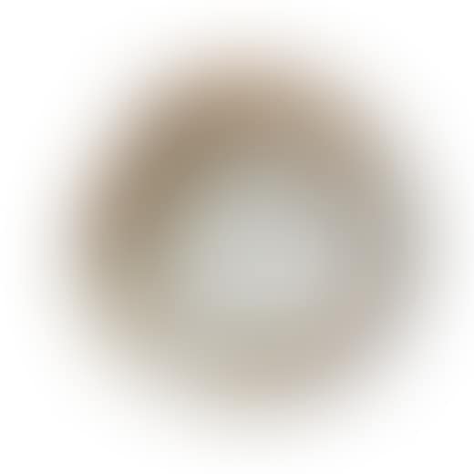 untitled (X-plate) (preview)