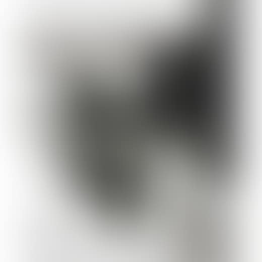 untitled (Still Life) (preview)