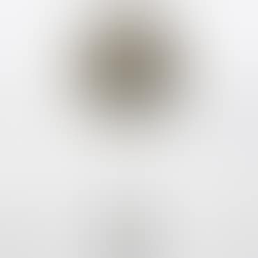 untitled (Dandelion) (preview)