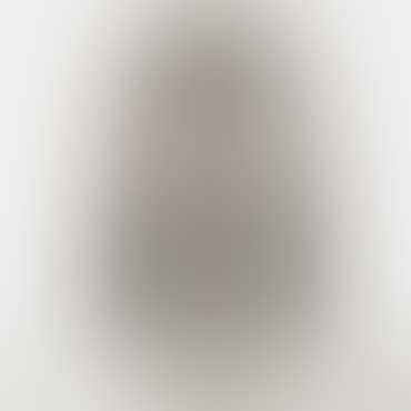 untitled (Willow) (preview)
