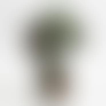 untitled (Directly Formed Bronze) (preview)