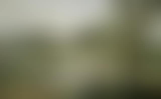 Near Itchen Stoke (preview)