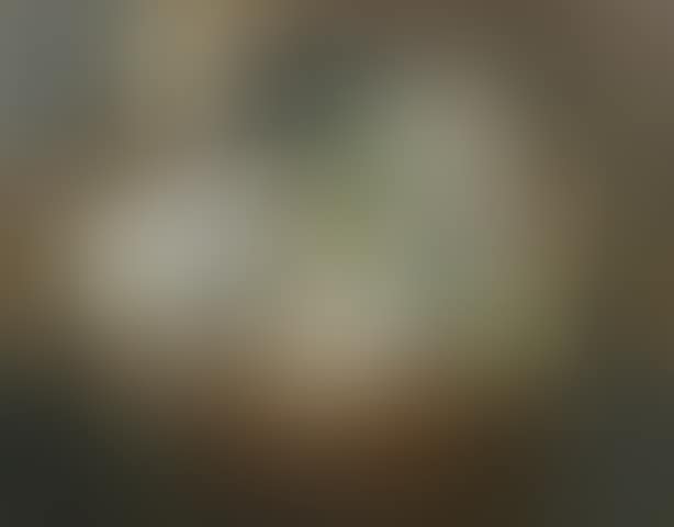 Nature morte (preview)