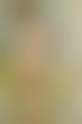 Stehender R�ckenakt (preview)