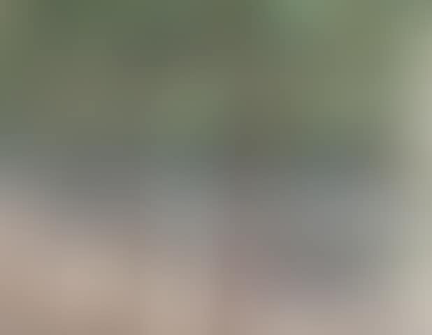 St Cloud (preview)