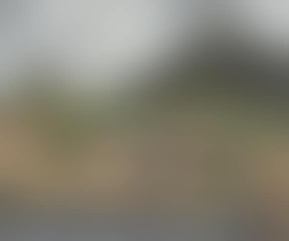 Arcachon (preview)