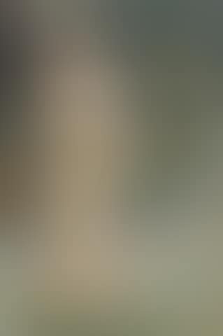 Portrait of a Lady, Mrs David Margesson (preview)