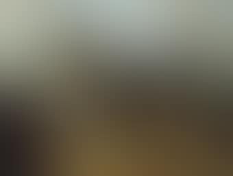 A terrier in a landscape (preview)
