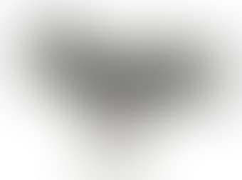 Homme-Oiseau interm�diaire II (preview)