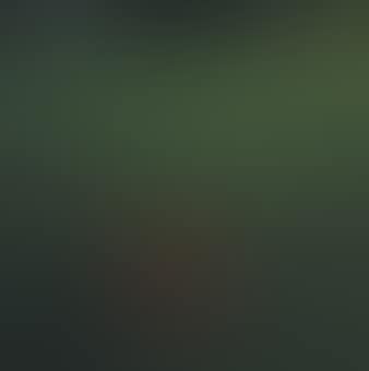 Imagine the Green is Red (preview)