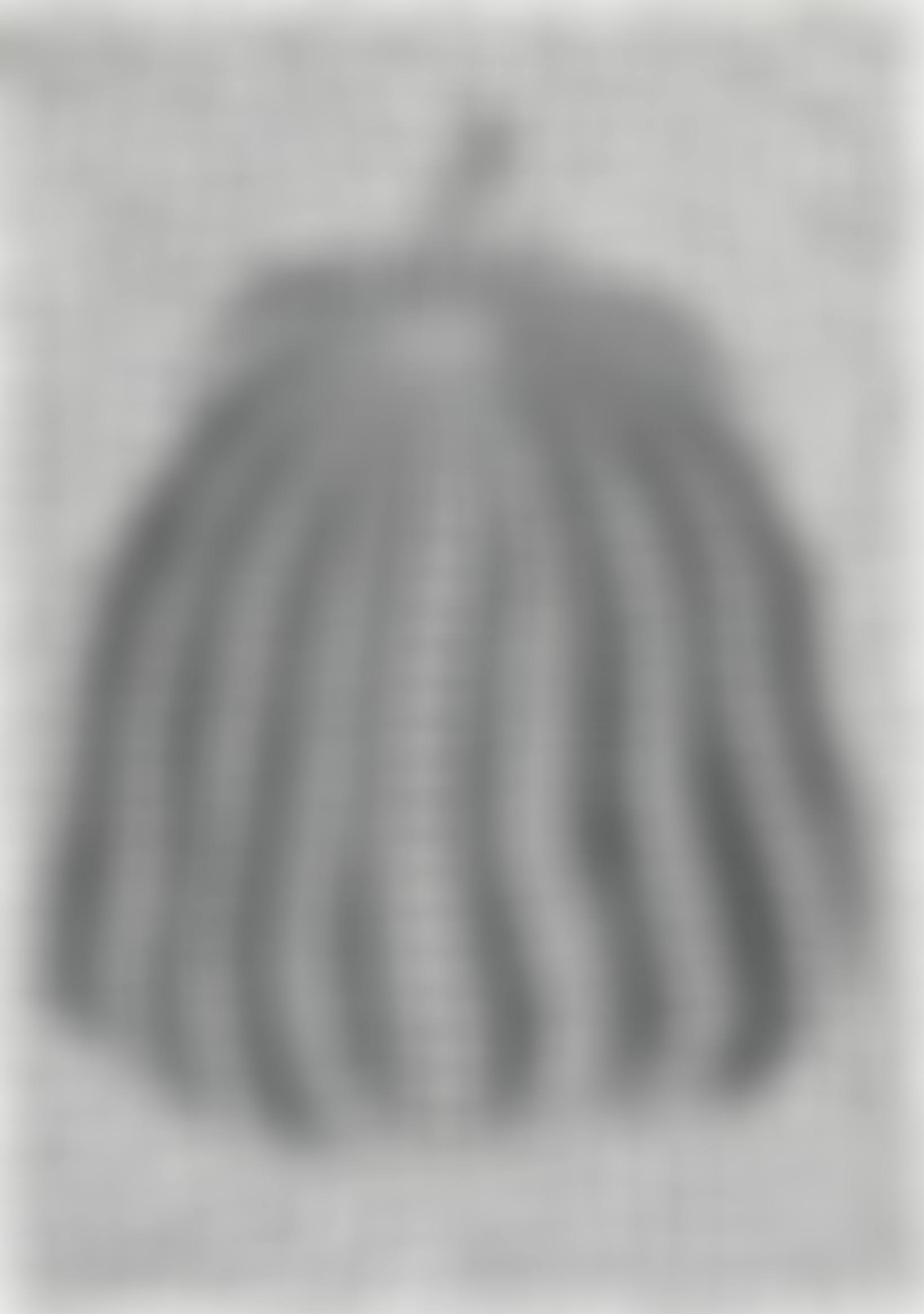 Pumpkin (preview)