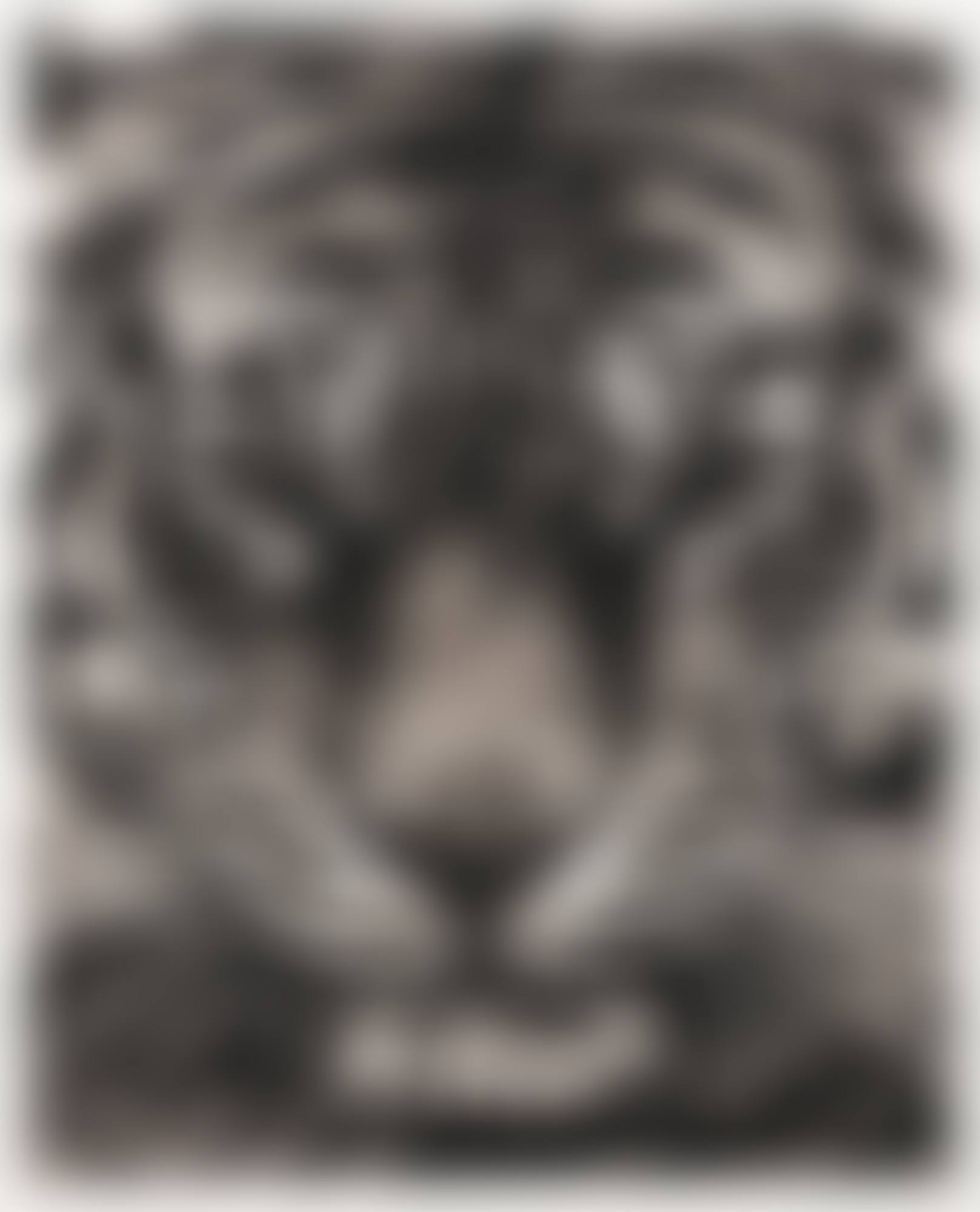 Study of Tiger Head 16 (preview)