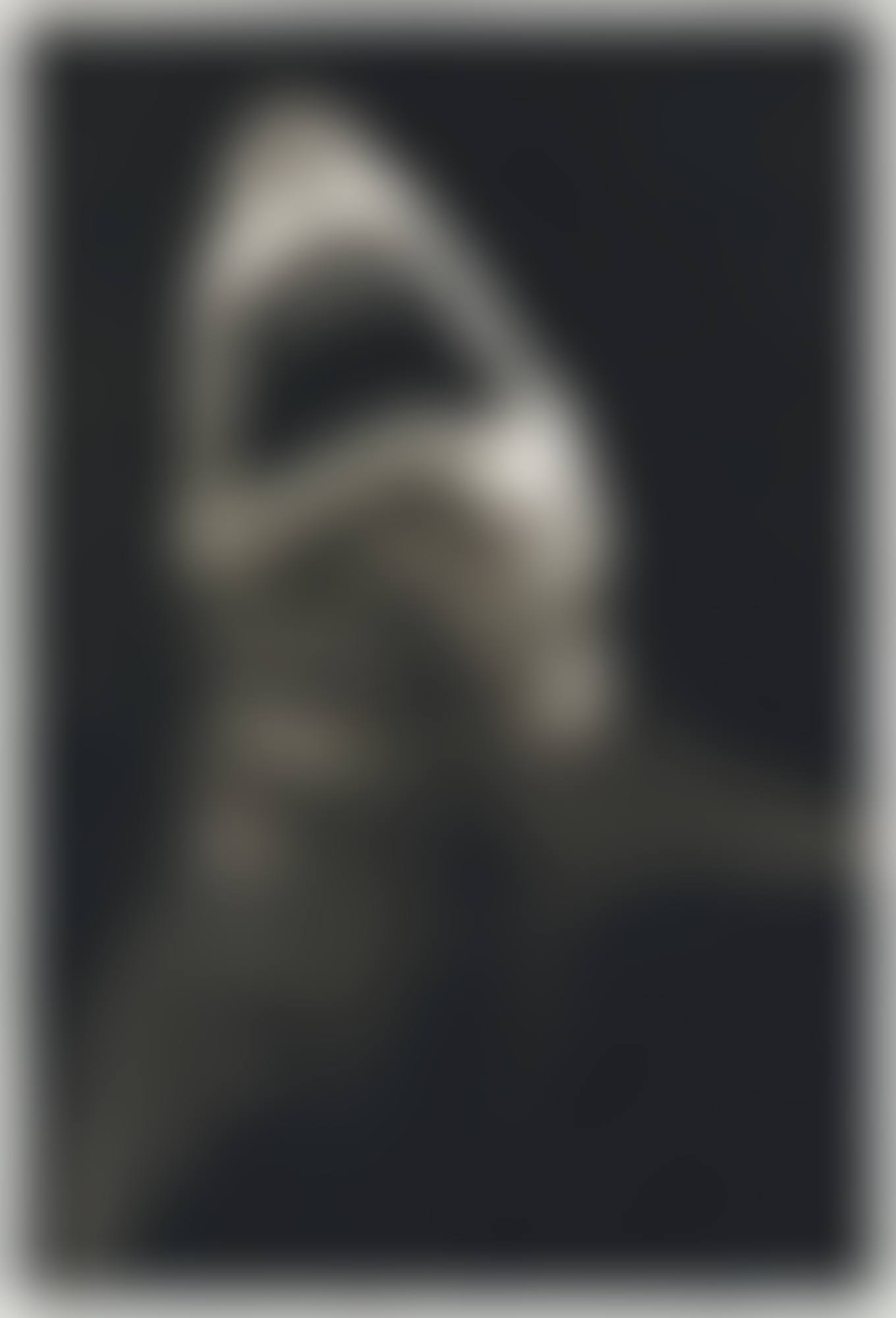 Study of Breaching Shark (preview)