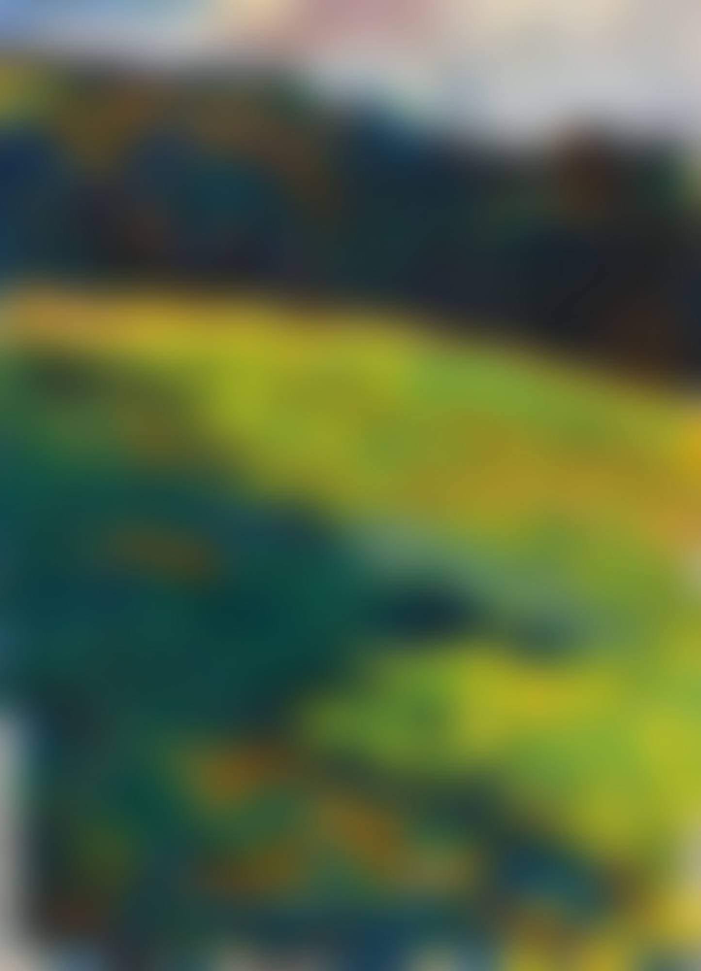 Kochel - Bergwiese Vor Waldrand (Kochel - Mountain Meadow at the Edge of  the Forest) (preview)