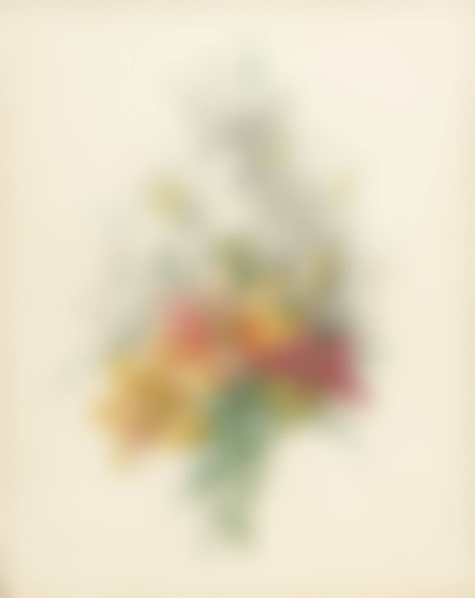 Bouquet de fleurs (preview)