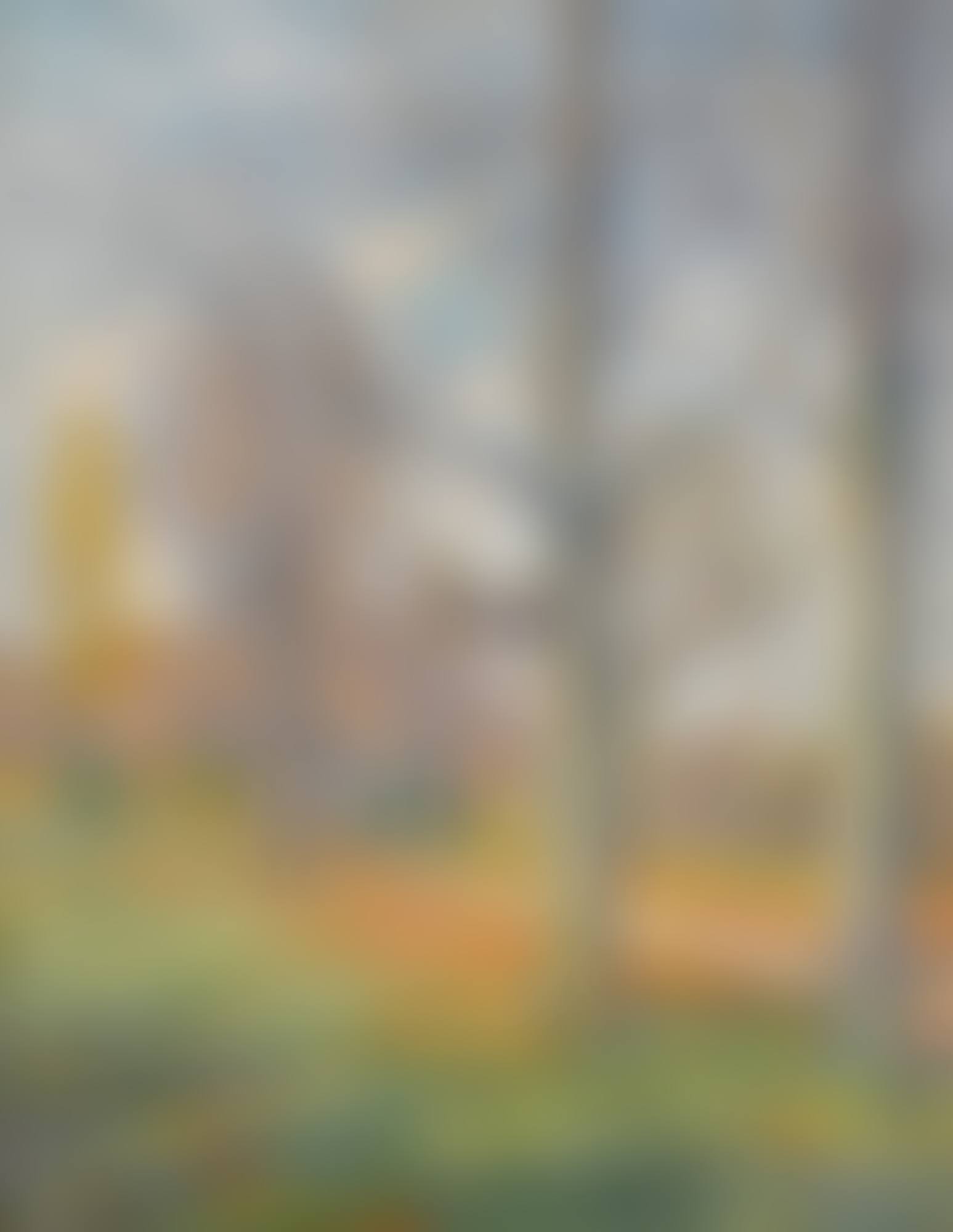 Late Fall (preview)