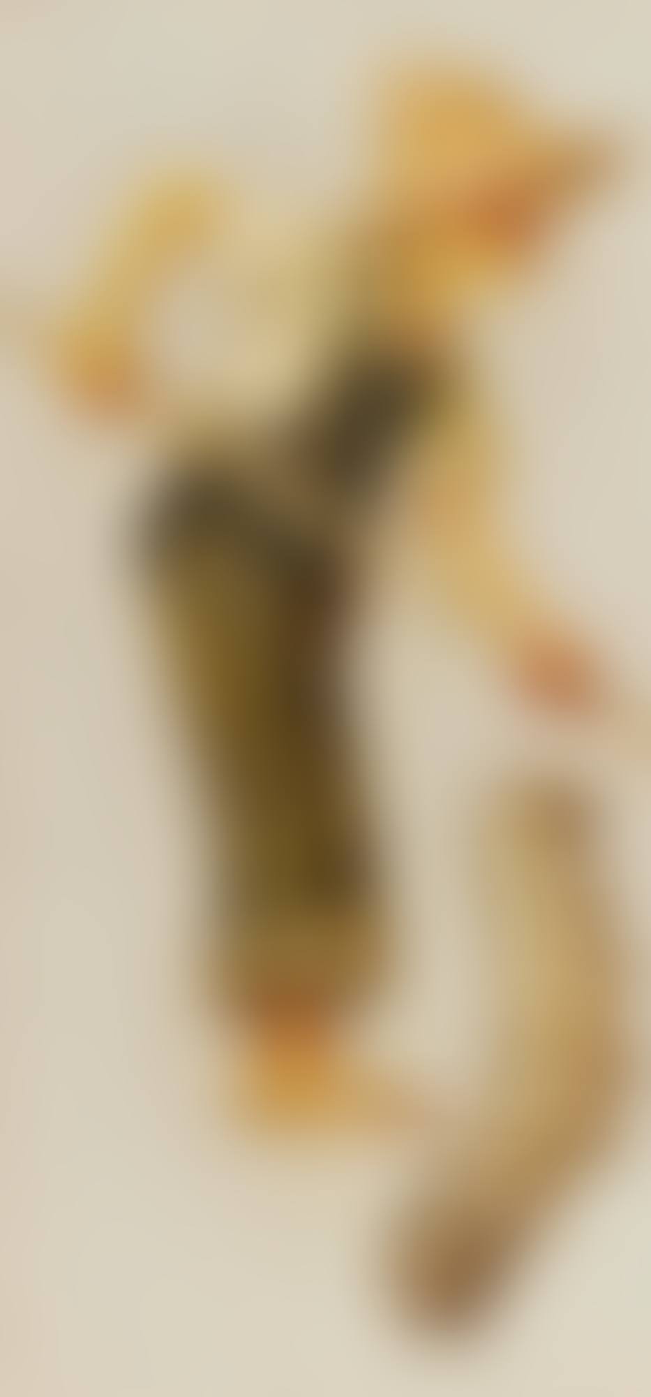 Boy and Caterpillar (preview)